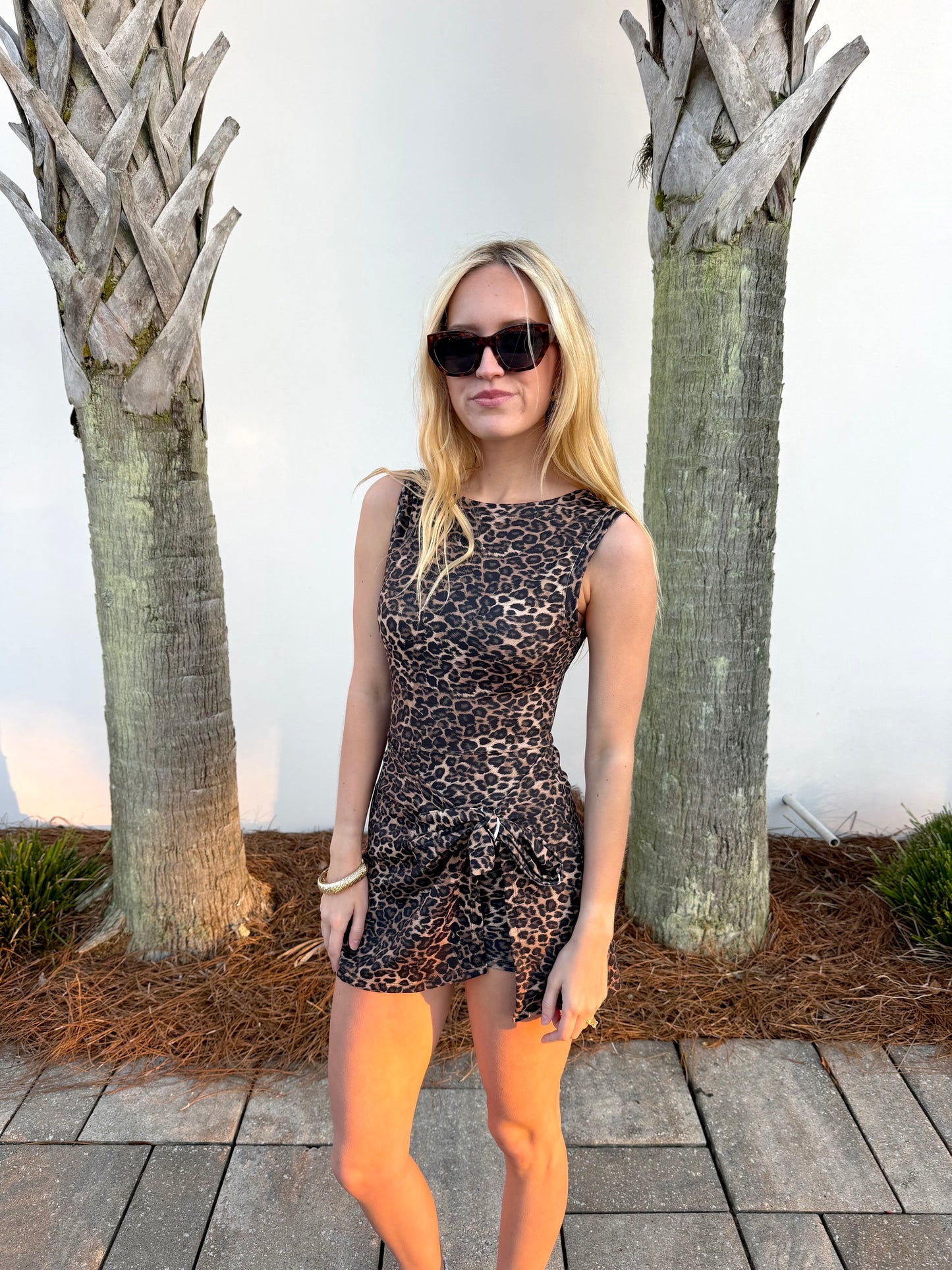 Feelin Feisty Dress