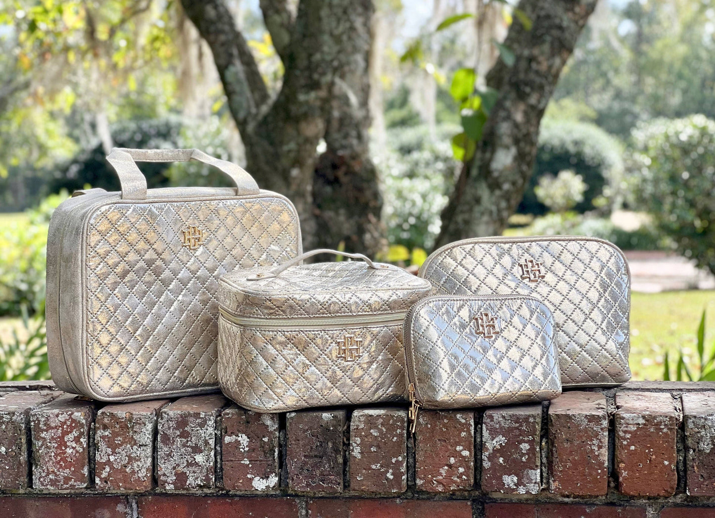 Champagne Pop Large Case
